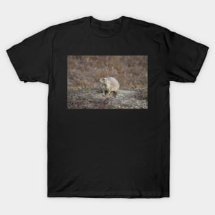 Wild Prairie Dog T-Shirt